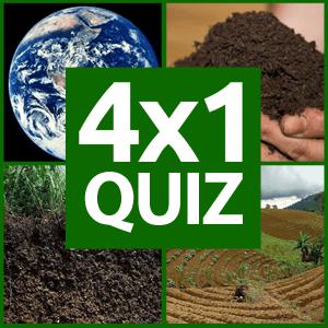 Play 4×1 Picture Quiz — screenshot